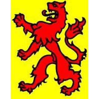 👉 Vlag active Zuid Holland 40x60cm 7430439257226