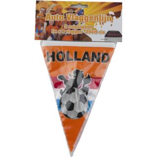 👉 Vlaggenlijn active Mini Holland auto of raam 7435127484441