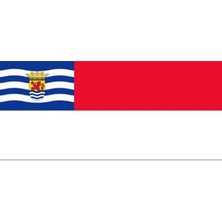 👉 Vlag active Nederland met inzet Zeeuwse 70x100cm 7430439484493