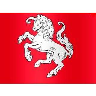 👉 Vlag active Officiele Twentse ros Twente 50x75cm 7430439270225