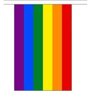 👉 Vlaggenlijn stof active Regenboog 9 meter 7430439478454