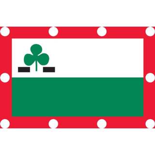 👉 Vlag active Meppel | Meppelse vlaggen 50x75cm 7435127584523