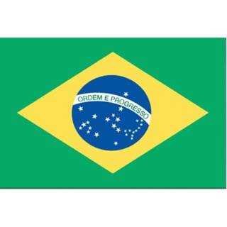 👉 Autovlag active Brazilie Braziliaanse autovlaggen Luxe 7435127314397