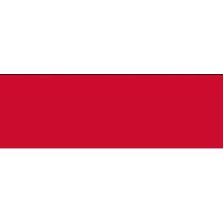 👉 Vlag active Nijmegen | Nijmeegse Vlaggen 100x150cm 7430439172178