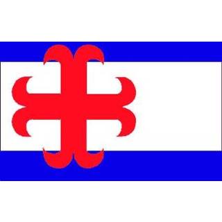👉 Vlag active Zutphen Zutphense vlaggen 20x30cm 7430439279228