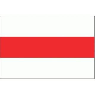 👉 Vlag active Enschede 150x225cm 7435127429480