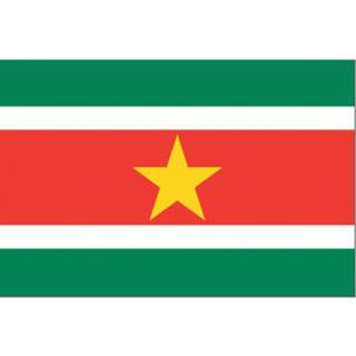 👉 Vlag active Suriname 30x45cm 7430439167136