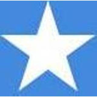 👉 Vlag active Somalië | Somalissche vlaggen 100x150cm 7430439297291