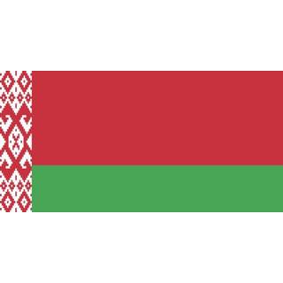 Vlag wit active van Belarus | Wit-Russische 30x45cm 7430439285250