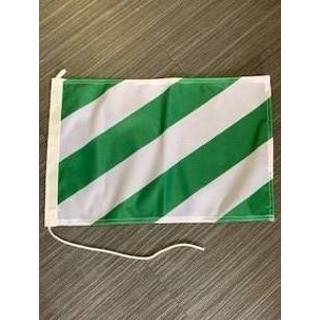 👉 Vlag groen wit active groen/wit 30x45cm 7435127510539