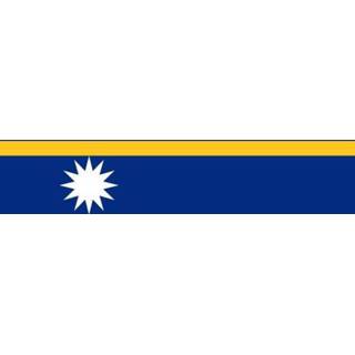 👉 Vlag active Nauru | Nauruaanse vlaggen 100x150cm 7430439374305