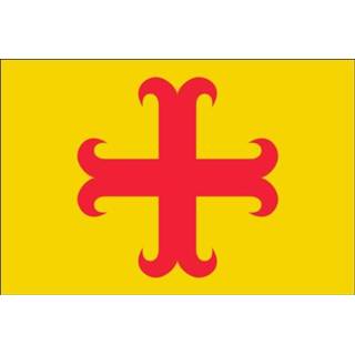 👉 Vlag active Oegstgeest 20x30cm 7430439195122