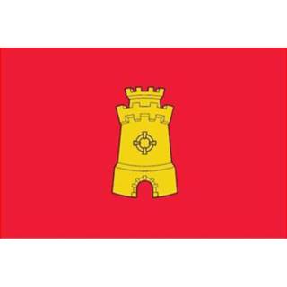 👉 Vlag active Middelburg vlaggen 200x300cm 7435127321333