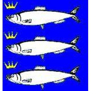 👉 Vlag active Scheveningen Scheveningse vlaggen 200x300cm 7430439392323