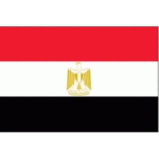 👉 Vlag active Egypte 20x30cm 7430439160144