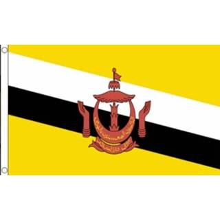 👉 Vlag active Brunei 90x150cm | Best Value 7435127449419