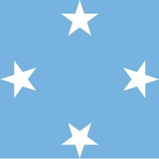 👉 Vlag active Micronesia | Micronesische vlaggen 100x150cm 7430439373384