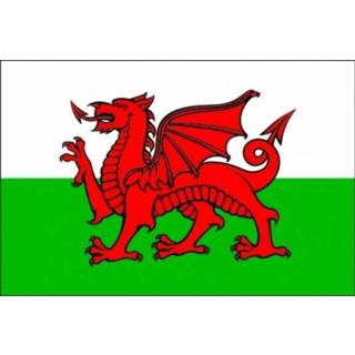 👉 Vlag active Wales 50x75cm 7430439278290