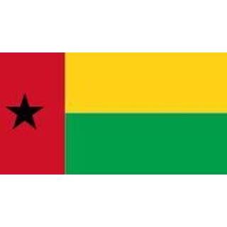 👉 Vlag active Guinee-Bissau | vlaggen 100x150cm 7430439282242