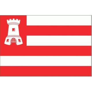 👉 Vlag active Alkmaar Alkmaarse vlaggen 20x30cm 7430439179184