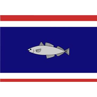 👉 Vlag active Urker vlag, Urk 30x45cm 7430439158196