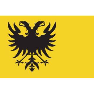 👉 Vlag active Naarden 150x225cm 7435127322354