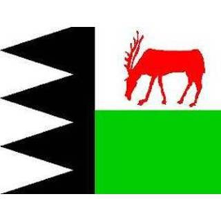 👉 Vlag active Bruinisse 100x150cm 7430439197188
