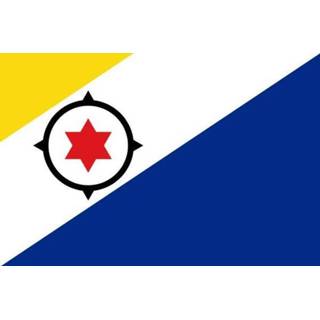 👉 Vlag active Bonaire | Bonairiaanse 30x45cm 7435127457407