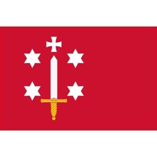 👉 Vlag active Haarlem 20x30cm 7430439286226