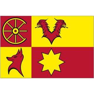 👉 Vlag active nieuwkoop nieuwkoopse vlaggen 20x30cm 7430439169185