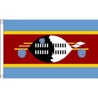 👉 Vlag active Swaziland 90x150cm | Best Value 7435127554595