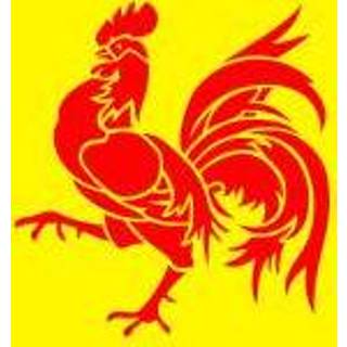 👉 Tafelvlag active Wallonië 10x15 cm 7435127382396