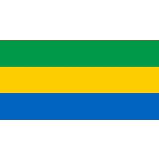 👉 Vlag active Beemster 100x150cm 7435127632682