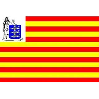 👉 Vlag active Enkhuizen 20x30cm 7430439162186