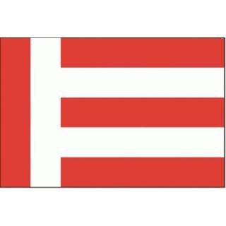 👉 Vlag active Eindhoven 30x45cm 7430439093084