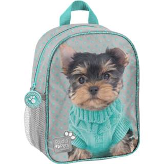 Rugzak blauw peuters Studio Pets Yorkshire Terrier - Peuter 28 cm 5903162078885