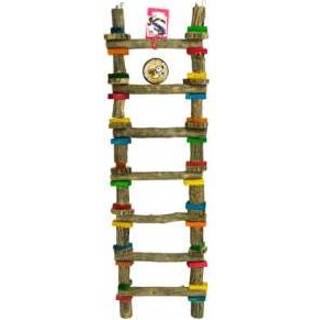 👉 Ladder xlarge Birrdeeez 7-Step Sekelbol 6009681303596
