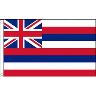 👉 Vlag active Hawaii 90x150cm I Best Value 7435127653656