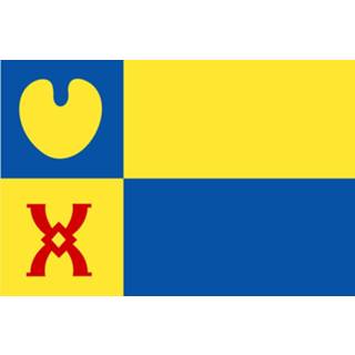 👉 Vlag active Geldrop-Mierlo 100x150cm 7435127638646