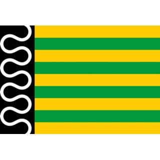 👉 Vlag active De Wolden 100x150cm 7435127660685