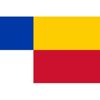 👉 Vlag active Heerde 100x150cm 7435127640625