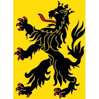 👉 Vlag active Hulst 100x150cm 7435127574579
