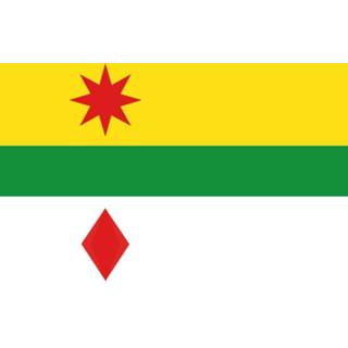 👉 Vlag active Lansingerland 100x150cm 7435127575583