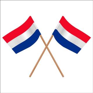 👉 Zwaaivlag papier active Zwaaivlaggetje Nederland 11x21cm | 100% Eco 7435127488418