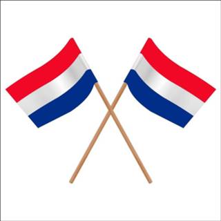 Zwaaivlag papier active Zwaaivlaggetje Nederland 11x21cm | 100% Eco 7435127488418