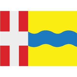 👉 Vlag active Stichtse Vecht 100x150 7435127630671