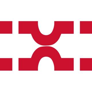 👉 Vlag active Losser 100x150cm 7435127576597