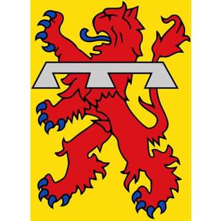 👉 Vlag active Teylingen 100x150cm 7435127630695