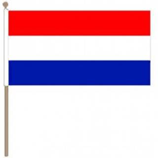 👉 Zwaaivlag active Nederland 30x45cm, stoklengte 60cm 7430439264293