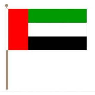 👉 Zwaaivlag stof active Verenigde Arabische Emiraten 15x22,5cm | 7435127445411